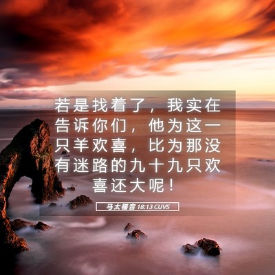 Picture 05 - 马 太 福 音 18:13 CUVS - 若 是 找 着 了 ， 我 实 在 告 诉 你 - Bible Verse Picture