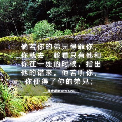 Picture 05 - 马 太 福 音 18:15 CUVS - 倘 若 你 的 弟 兄 得 罪 你 ， 你 就 - Bible Verse Picture