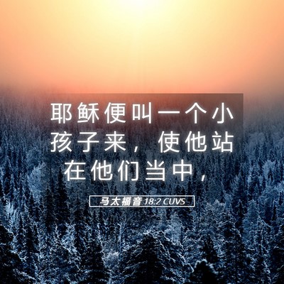 Picture 05 - 马 太 福 音 18:2 CUVS - 耶 稣 便 叫 一 个 小 孩 子 来 ， 使 - Bible Verse Picture