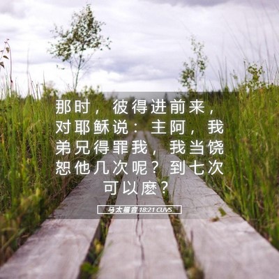 Picture 05 - 马 太 福 音 18:21 CUVS - 那 时 ， 彼 得 进 前 来 ， 对 耶 稣 - Bible Verse Picture