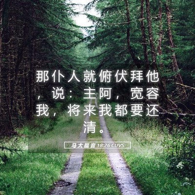 Picture 05 - 马 太 福 音 18:26 CUVS - 那 仆 人 就 俯 伏 拜 他 ， 说 ： 主 - Bible Verse Picture
