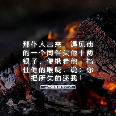Picture 05 - 马 太 福 音 18:28 CUVS - 那 仆 人 出 来 ， 遇 见 他 的 一 个 - Bible Verse Picture