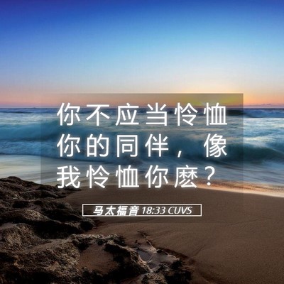 Picture 05 - 马 太 福 音 18:33 CUVS - 你 不 应 当 怜 恤 你 的 同 伴 ， 像 - Bible Verse Picture