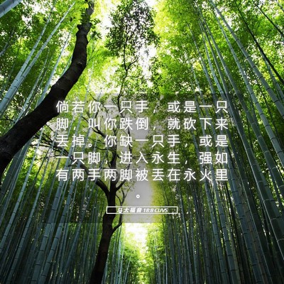Picture 05 - 马 太 福 音 18:8 CUVS - 倘 若 你 一 只 手 ， 或 是 一 只 脚 - Bible Verse Picture
