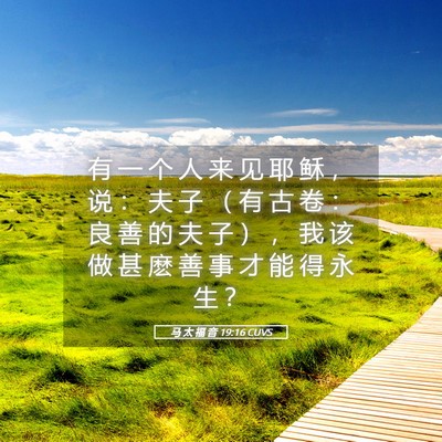 Picture 05 - 马 太 福 音 19:16 CUVS - 有 一 个 人 来 见 耶 稣 ， 说 ： 夫 - Bible Verse Picture