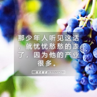 Picture 05 - 马 太 福 音 19:22 CUVS - 那 少 年 人 听 见 这 话 ， 就 忧 忧 - Bible Verse Picture