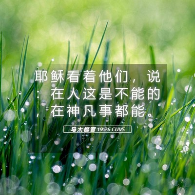 Picture 05 - 马 太 福 音 19:26 CUVS - 耶 稣 看 着 他 们 ， 说 ： 在 人 这 - Bible Verse Picture