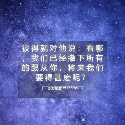 Picture 05 - 马 太 福 音 19:27 CUVS - 彼 得 就 对 他 说 ： 看 哪 ， 我 们 - Bible Verse Picture