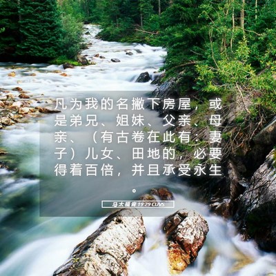 Picture 05 - 马 太 福 音 19:29 CUVS - 凡 为 我 的 名 撇 下 房 屋 ， 或 是 - Bible Verse Picture