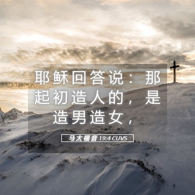Picture 05 - 马 太 福 音 19:4 CUVS - 耶 稣 回 答 说 ： 那 起 初 造 人 的 - Bible Verse Picture