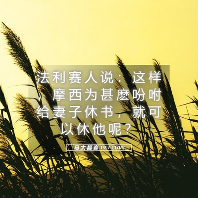 Picture 05 - 马 太 福 音 19:7 CUVS - 法 利 赛 人 说 ： 这 样 ， 摩 西 为 - Bible Verse Picture