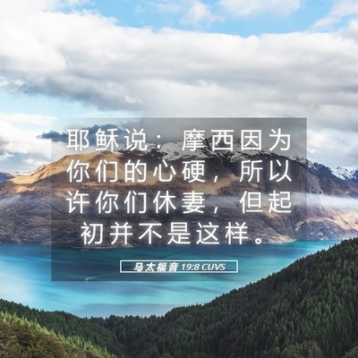 Picture 05 - 马 太 福 音 19:8 CUVS - 耶 稣 说 ： 摩 西 因 为 你 们 的 心 - Bible Verse Picture