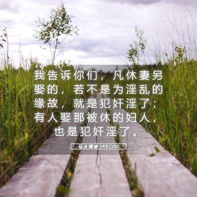Picture 05 - 马 太 福 音 19:9 CUVS - 我 告 诉 你 们 ， 凡 休 妻 另 娶 的 - Bible Verse Picture