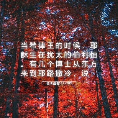 Picture 05 - 马 太 福 音 2:1 CUVS - 当 希 律 王 的 时 候 ， 耶 稣 生 在 - Bible Verse Picture