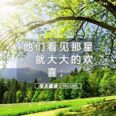 Picture 05 - 马 太 福 音 2:10 CUVS - 他 们 看 见 那 星 ， 就 大 大 的 欢 - Bible Verse Picture