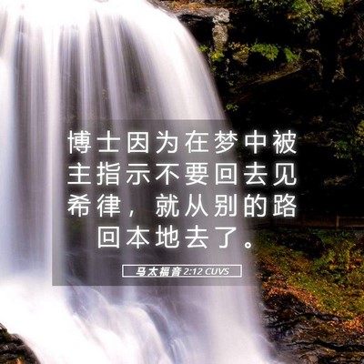 Picture 05 - 马 太 福 音 2:12 CUVS - 博 士 因 为 在 梦 中 被 主 指 示 不 - Bible Verse Picture