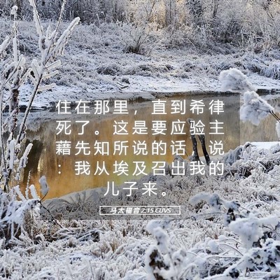 Picture 05 - 马 太 福 音 2:15 CUVS - 住 在 那 里 ， 直 到 希 律 死 了 。 - Bible Verse Picture