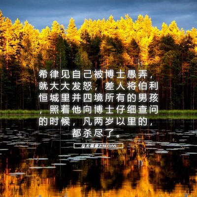 Picture 05 - 马 太 福 音 2:16 CUVS - 希 律 见 自 己 被 博 士 愚 弄 ， 就 - Bible Verse Picture