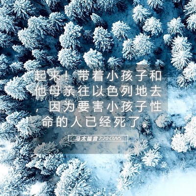 Picture 05 - 马 太 福 音 2:20 CUVS - 起 来 ！ 带 着 小 孩 子 和 他 母 亲 - Bible Verse Picture