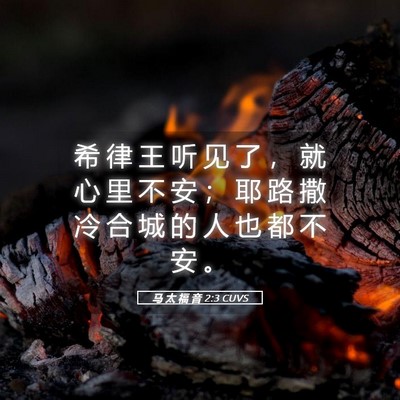 Picture 05 - 马 太 福 音 2:3 CUVS - 希 律 王 听 见 了 ， 就 心 里 不 安 - Bible Verse Picture