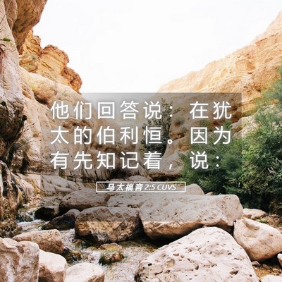 Picture 05 - 马 太 福 音 2:5 CUVS - 他 们 回 答 说 ： 在 犹 太 的 伯 利 - Bible Verse Picture