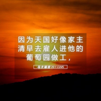 Picture 05 - 马 太 福 音 20:1 CUVS - 因 为 天 国 好 像 家 主 清 早 去 雇 - Bible Verse Picture