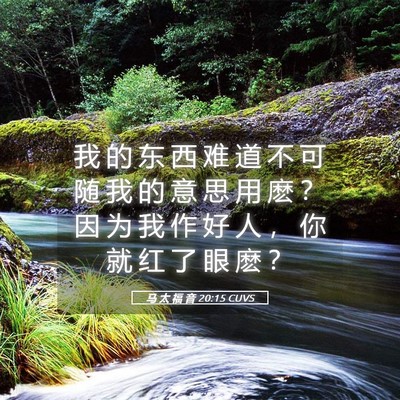 Picture 05 - 马 太 福 音 20:15 CUVS - 我 的 东 西 难 道 不 可 随 我 的 意 - Bible Verse Picture