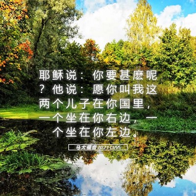 Picture 05 - 马 太 福 音 20:21 CUVS - 耶 稣 说 ： 你 要 甚 麽 呢 ？ 他 说 - Bible Verse Picture