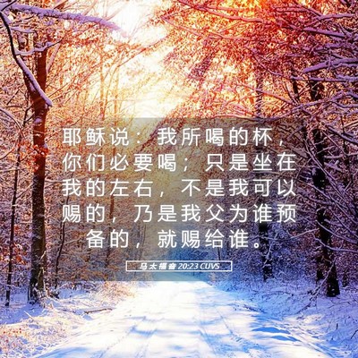 Picture 05 - 马 太 福 音 20:23 CUVS - 耶 稣 说 ： 我 所 喝 的 杯 ， 你 们 - Bible Verse Picture