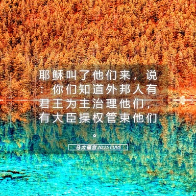 Picture 05 - 马 太 福 音 20:25 CUVS - 耶 稣 叫 了 他 们 来 ， 说 ： 你 们 - Bible Verse Picture