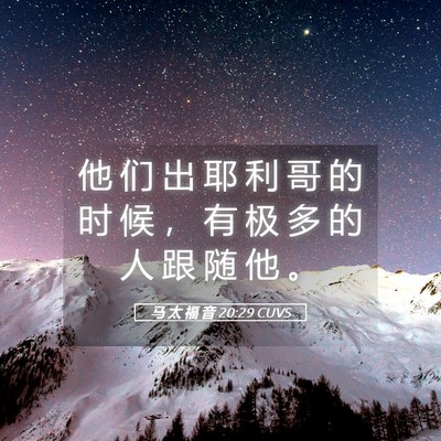 Picture 05 - 马 太 福 音 20:29 CUVS - 他 们 出 耶 利 哥 的 时 候 ， 有 极 - Bible Verse Picture