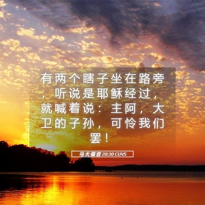 Picture 05 - 马 太 福 音 20:30 CUVS - 有 两 个 瞎 子 坐 在 路 旁 ， 听 说 - Bible Verse Picture
