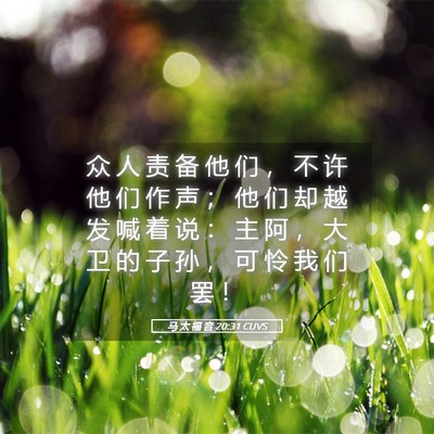 Picture 05 - 马 太 福 音 20:31 CUVS - 众 人 责 备 他 们 ， 不 许 他 们 作 - Bible Verse Picture