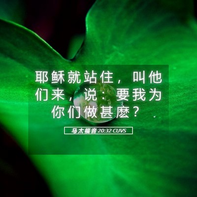 Picture 05 - 马 太 福 音 20:32 CUVS - 耶 稣 就 站 住 ， 叫 他 们 来 ， 说 - Bible Verse Picture
