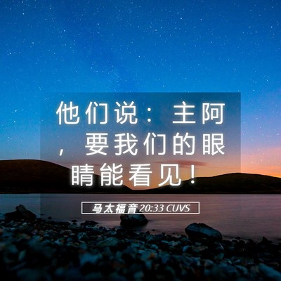 Picture 05 - 马 太 福 音 20:33 CUVS - 他 们 说 ： 主 阿 ， 要 我 们 的 眼 - Bible Verse Picture