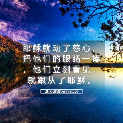 Picture 05 - 马 太 福 音 20:34 CUVS - 耶 稣 就 动 了 慈 心 ， 把 他 们 的 - Bible Verse Picture