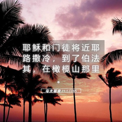 Picture 05 - 马 太 福 音 21:1 CUVS - 耶 稣 和 门 徒 将 近 耶 路 撒 冷 ， - Bible Verse Picture