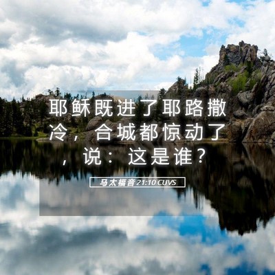 Picture 05 - 马 太 福 音 21:10 CUVS - 耶 稣 既 进 了 耶 路 撒 冷 ， 合 城 - Bible Verse Picture