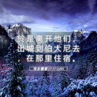 Picture 05 - 马 太 福 音 21:17 CUVS - 於 是 离 开 他 们 ， 出 城 到 伯 大 - Bible Verse Picture