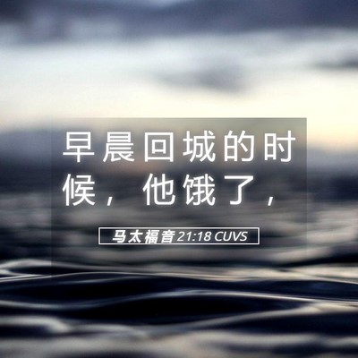 Picture 05 - 马 太 福 音 21:18 CUVS - 早 晨 回 城 的 时 候 ， 他 饿 了 - Bible Verse Picture