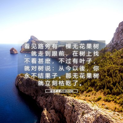 Picture 05 - 马 太 福 音 21:19 CUVS - 看 见 路 旁 有 一 棵 无 花 果 树 ， - Bible Verse Picture