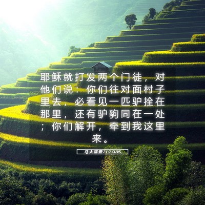 Picture 05 - 马 太 福 音 21:2 CUVS - 耶 稣 就 打 发 两 个 门 徒 ， 对 他 - Bible Verse Picture
