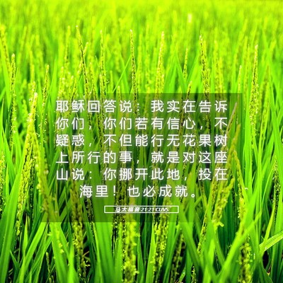 Picture 05 - 马 太 福 音 21:21 CUVS - 耶 稣 回 答 说 ： 我 实 在 告 诉 你 - Bible Verse Picture