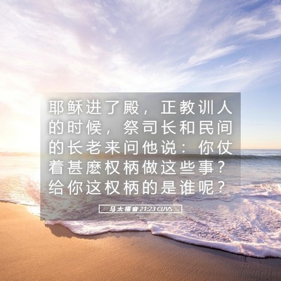 Picture 05 - 马 太 福 音 21:23 CUVS - 耶 稣 进 了 殿 ， 正 教 训 人 的 时 - Bible Verse Picture