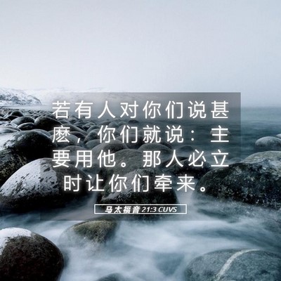 Picture 05 - 马 太 福 音 21:3 CUVS - 若 有 人 对 你 们 说 甚 麽 ， 你 们 - Bible Verse Picture
