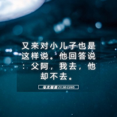 Picture 05 - 马 太 福 音 21:30 CUVS - 又 来 对 小 儿 子 也 是 这 样 说 。 - Bible Verse Picture