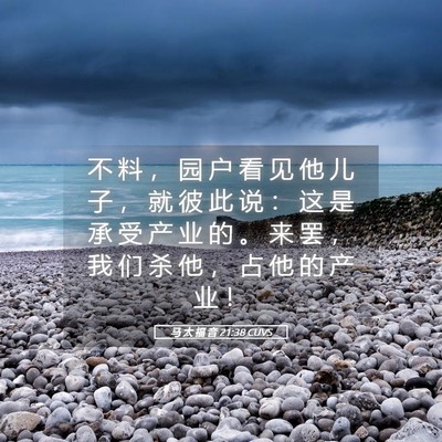 Picture 05 - 马 太 福 音 21:38 CUVS - 不 料 ， 园 户 看 见 他 儿 子 ， 就 - Bible Verse Picture