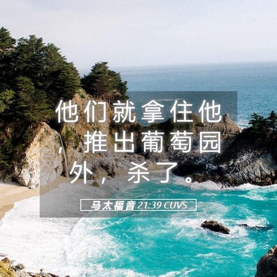 Picture 05 - 马 太 福 音 21:39 CUVS - 他 们 就 拿 住 他 ， 推 出 葡 萄 园 - Bible Verse Picture
