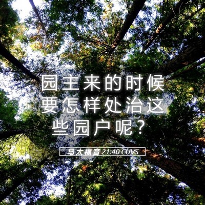 Picture 05 - 马 太 福 音 21:40 CUVS - 园 主 来 的 时 候 要 怎 样 处 治 这 - Bible Verse Picture