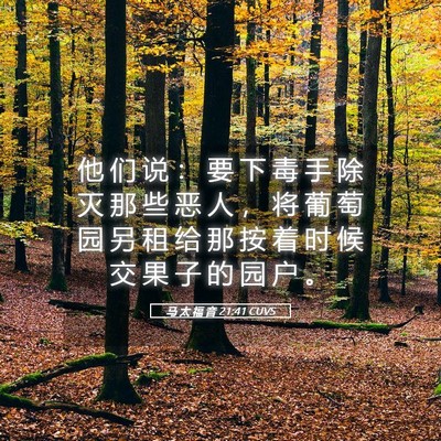 Picture 05 - 马 太 福 音 21:41 CUVS - 他 们 说 ： 要 下 毒 手 除 灭 那 些 - Bible Verse Picture